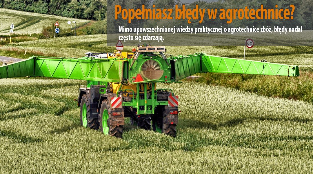 Sprawdź czy popełniasz błędy w agrotechnice zbóż