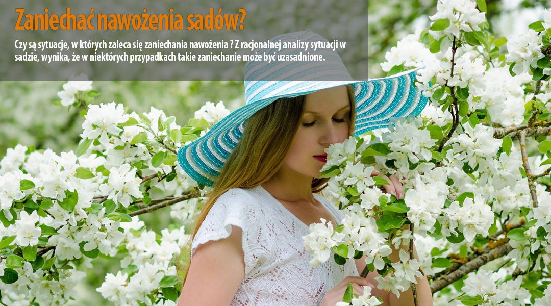 Zaniechać nawożenia sadów – mit czy rzeczywistość?