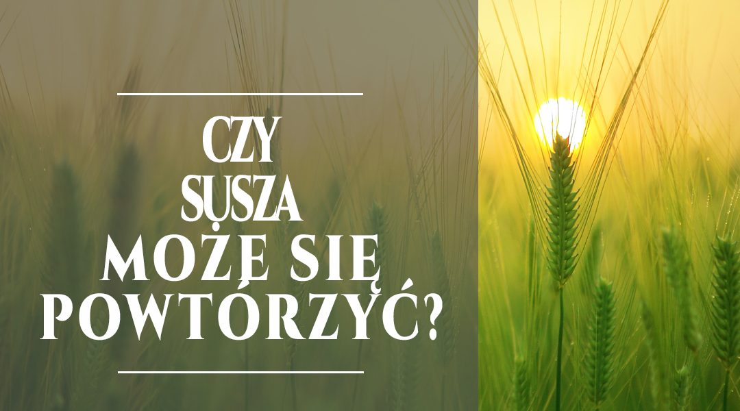 Czy susza może się powtórzyć? I co zrobić, żeby to nie był twój problem!