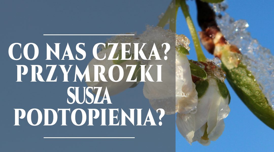 Przymrozki, susza, podtopienia? Co nas jeszcze czeka?