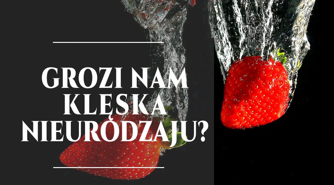 Czy grozi nam klęska nieurodzaju?