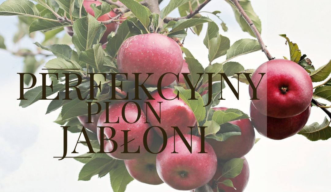 Perfekcyjny plon jabłoni w 4 krokach
