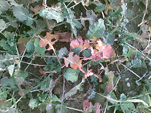 niedobory_3