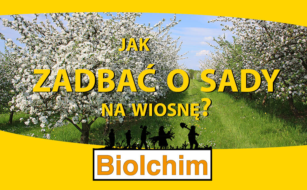 Jak zadbać o sady wiosną?