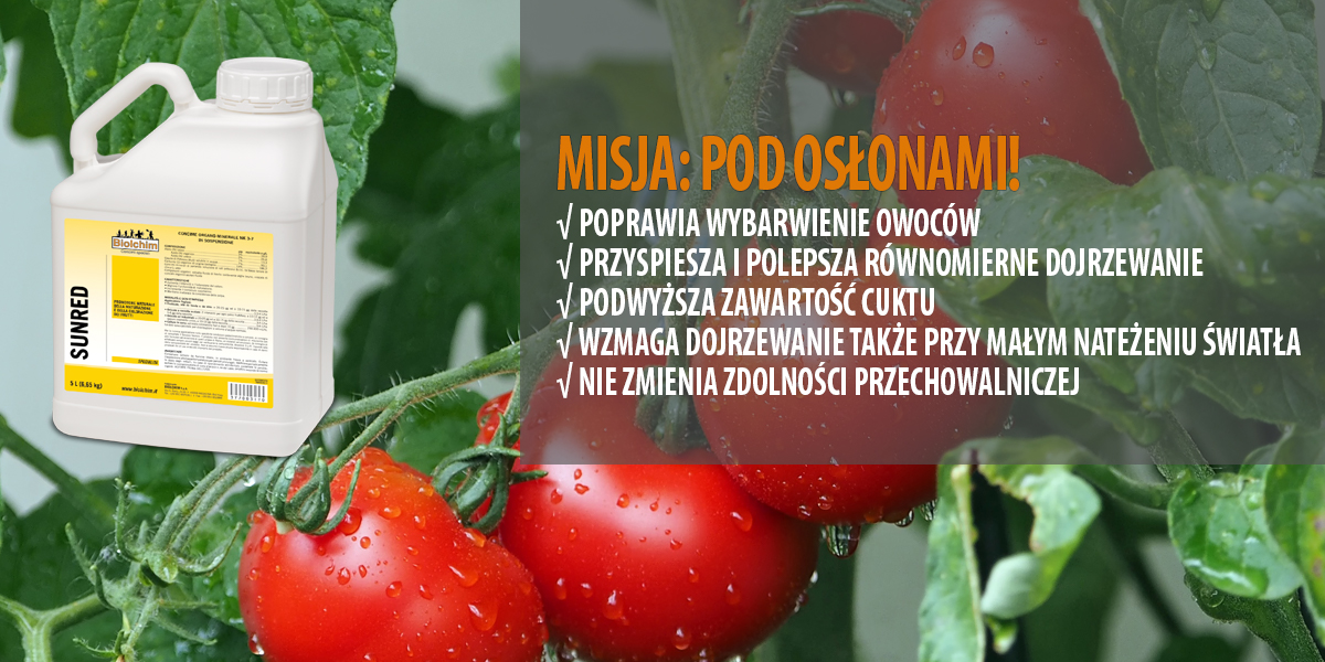 misja-pod-oslonami